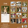 Corgi Calendar